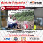 Kelompok Tani “Sido Muncul” : Menanam Padi dengan Menggunakan Mesin Penanam Biji-bijian Maksindo Semakin Asyik Kelompok Tani “Sido Muncul” : Menanam Padi dengan Menggunakan Mesin Penanam Biji-bijian Maksindo Semakin Asyik